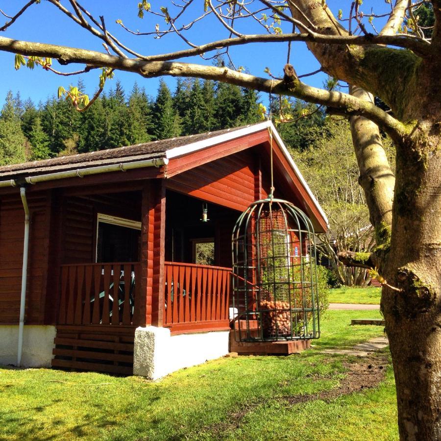 Stravaigin Lodge 达农 外观 照片